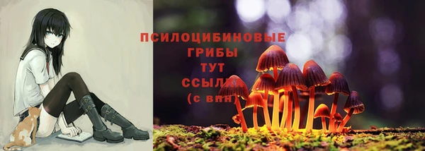 эйфоретик Белокуриха