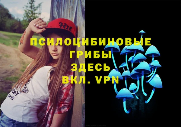 эйфоретик Белокуриха