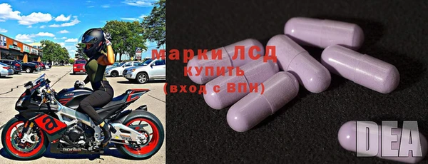 эйфоретик Белокуриха