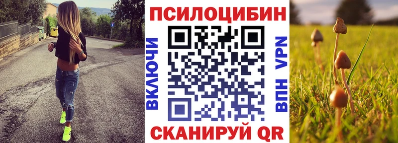 Галлюциногенные грибы прущие грибы  KRAKEN ONION  Качканар 